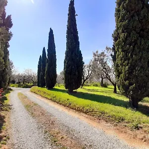 Dom wakacyjny Il Palagio